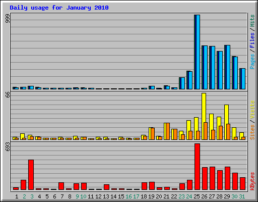 Daily usage for January 2010